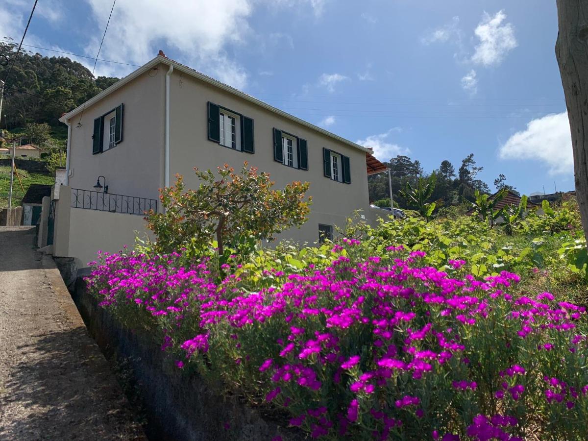 Terra Batista House Villa Porto Da Cruz Exterior photo